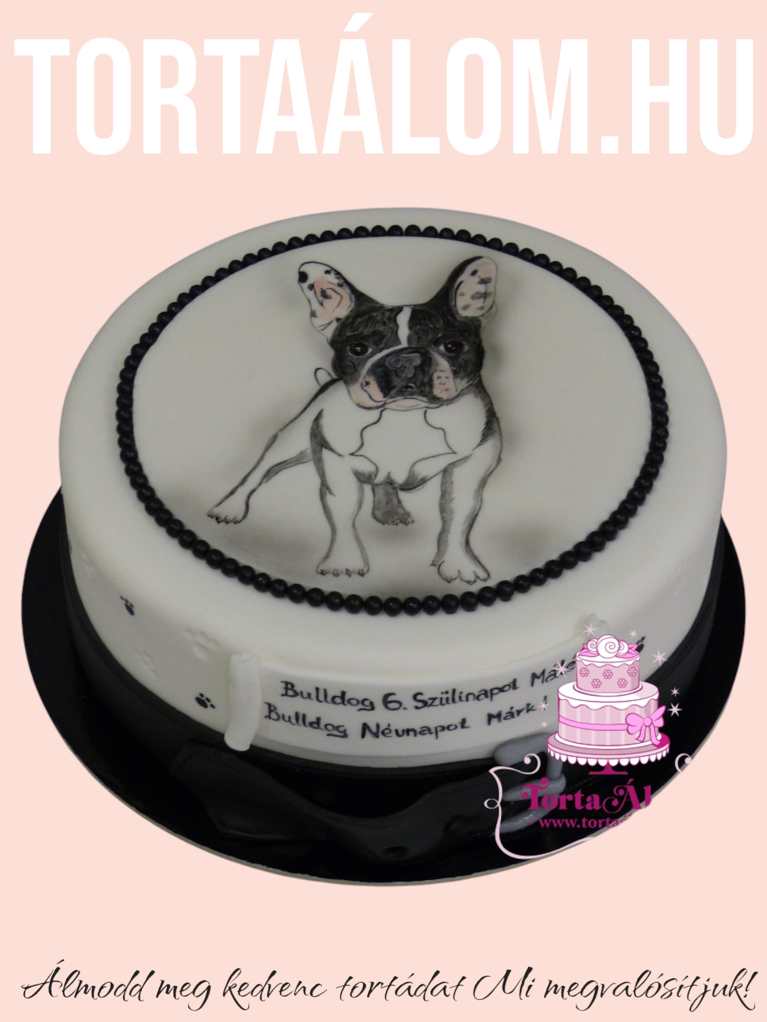 Festett francia buldog