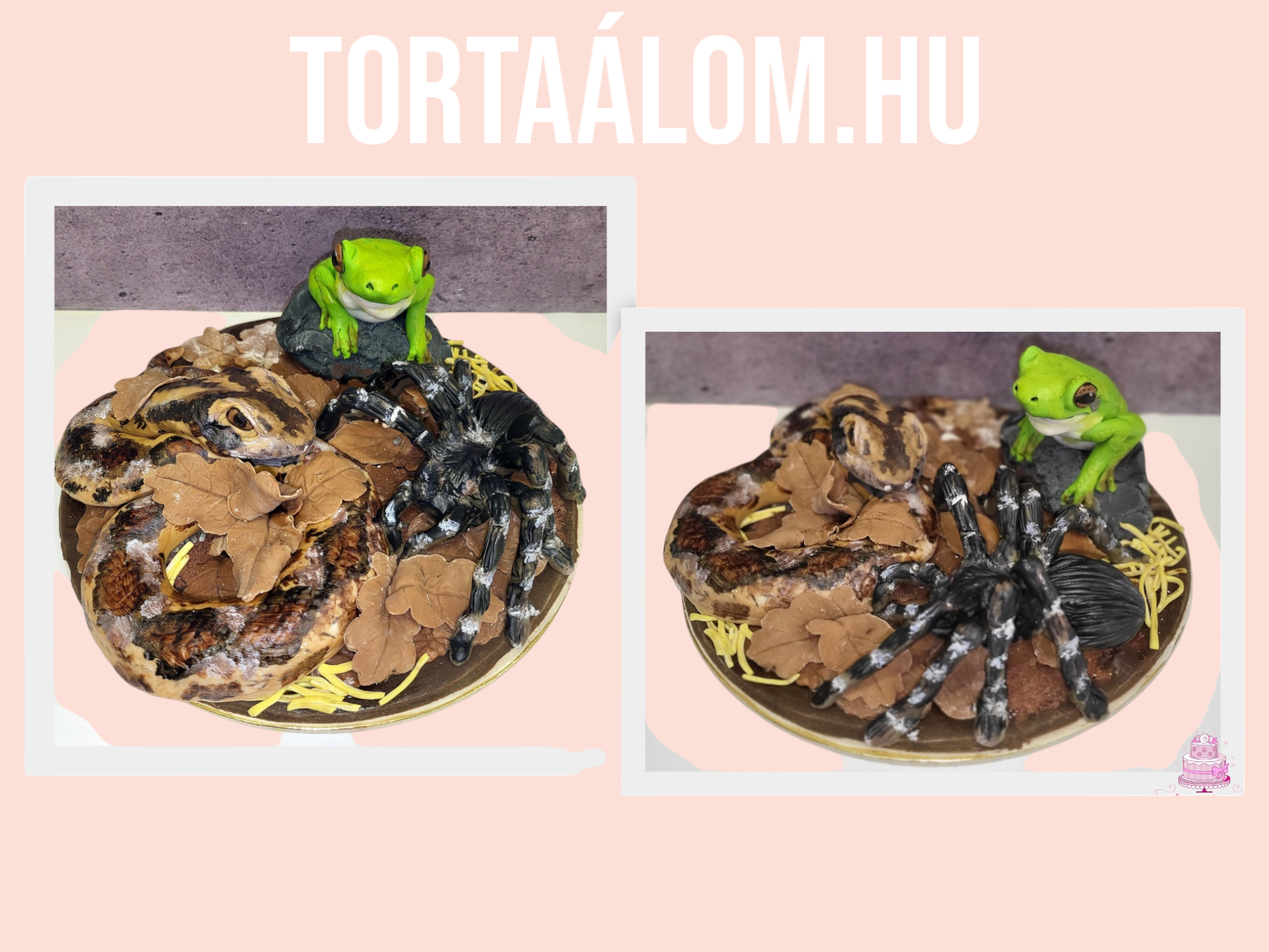 Kígy Pók Béka